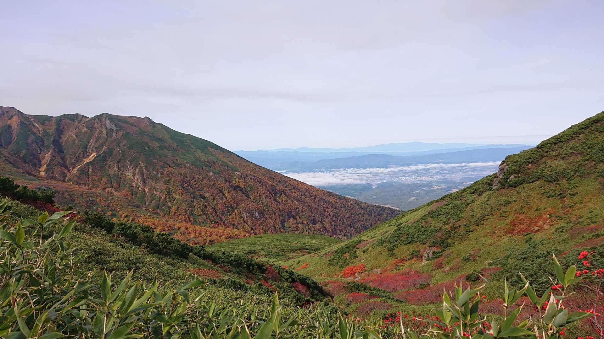 上ホロカメットク山 往復コースの写真