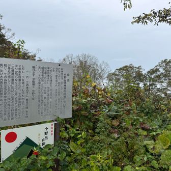 こちらにありました。