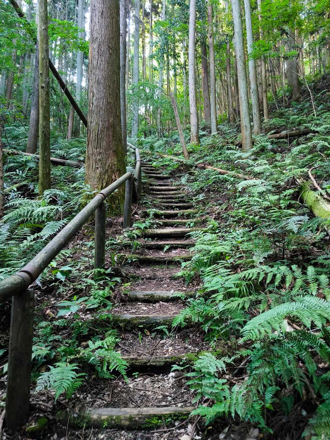 階段が多いです