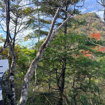 十一ヶ岳山頂
残り1
