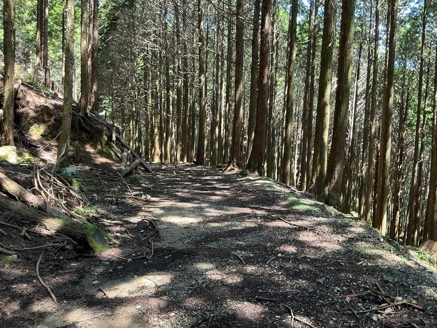 今、歩いている道がYAMAPの赤線道です。

なるべくなら、ピストンにならないように行きと帰りで違う道で歩きました。