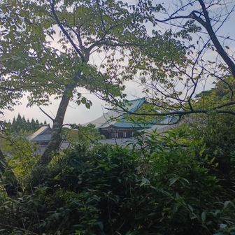 水道施設のすぐ下に移転後の天上寺があるにゃ。