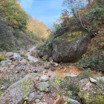 無理して反対側に移らず、岩の上に置いてあるソーラーライト沿いに沢を下る