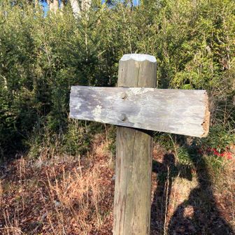 道なりに降りてきました。綺麗に管理されています。文字は読めない