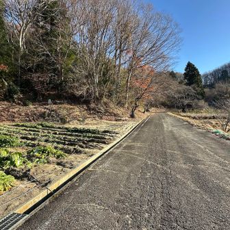 🐗が多いのかな🤔　🐻の心配は無さそうな感じだが。