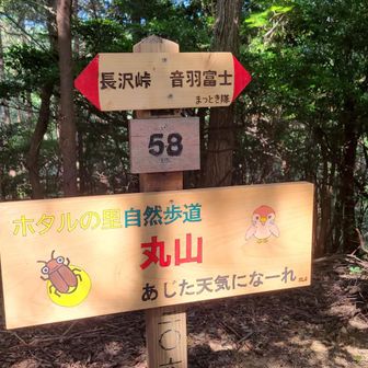 丸山
音羽富士の下山が急だった(笑)