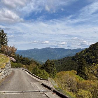 さて、杖杉庵へ戻ろ〜、