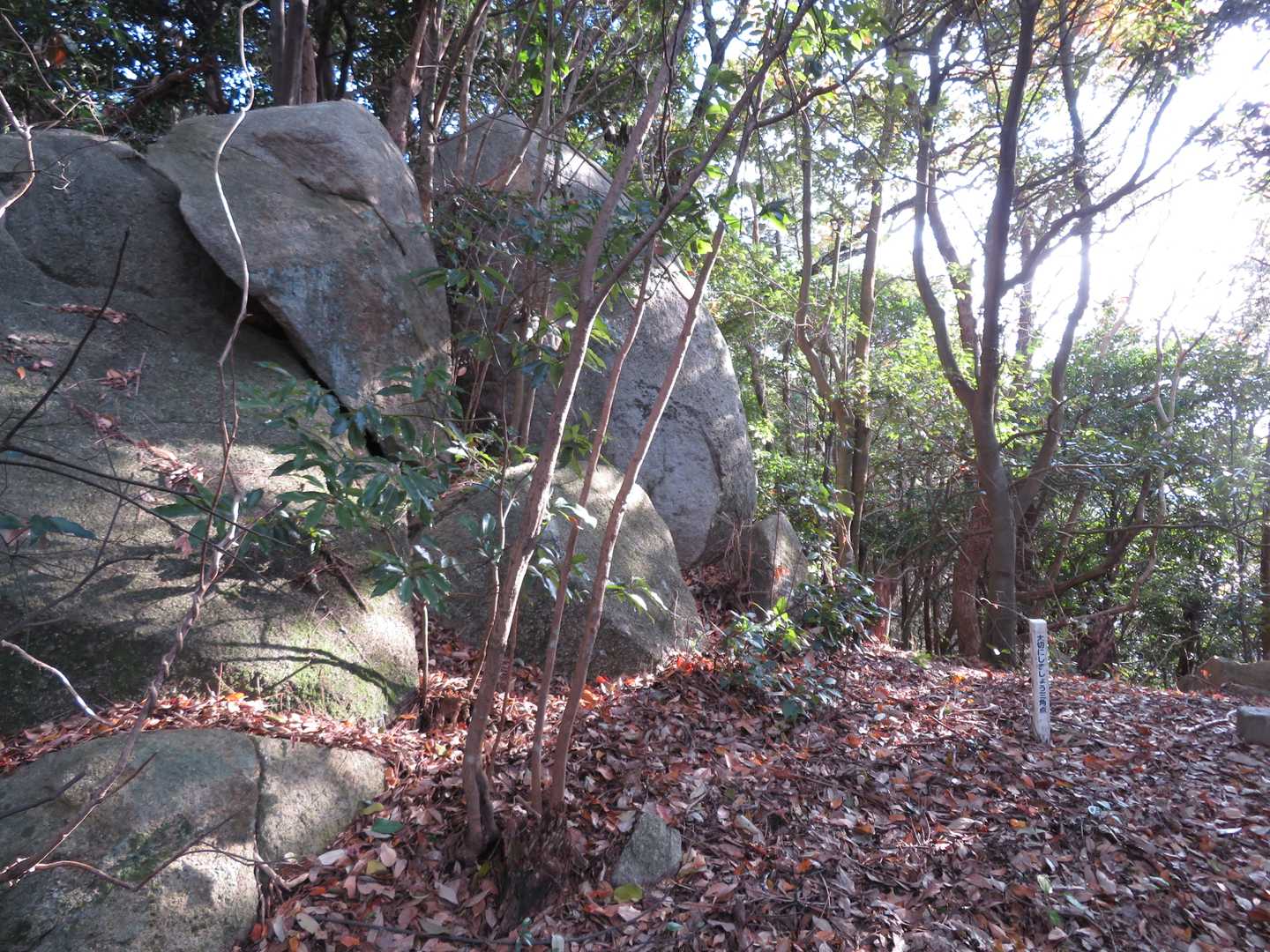 天ヶ平山(189m)　大きな花崗岩の岩と三角点