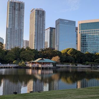 潮入の池、中島の御茶屋と高層ビル群