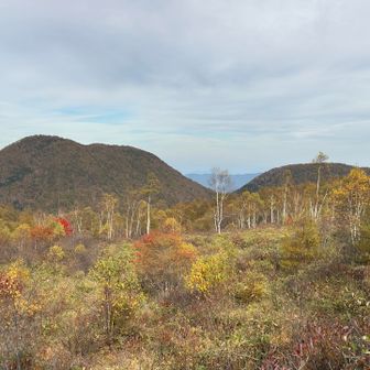 陽が傾いてきたおかげで、つつじ平付近の紅葉がとっても綺麗に見えました♪