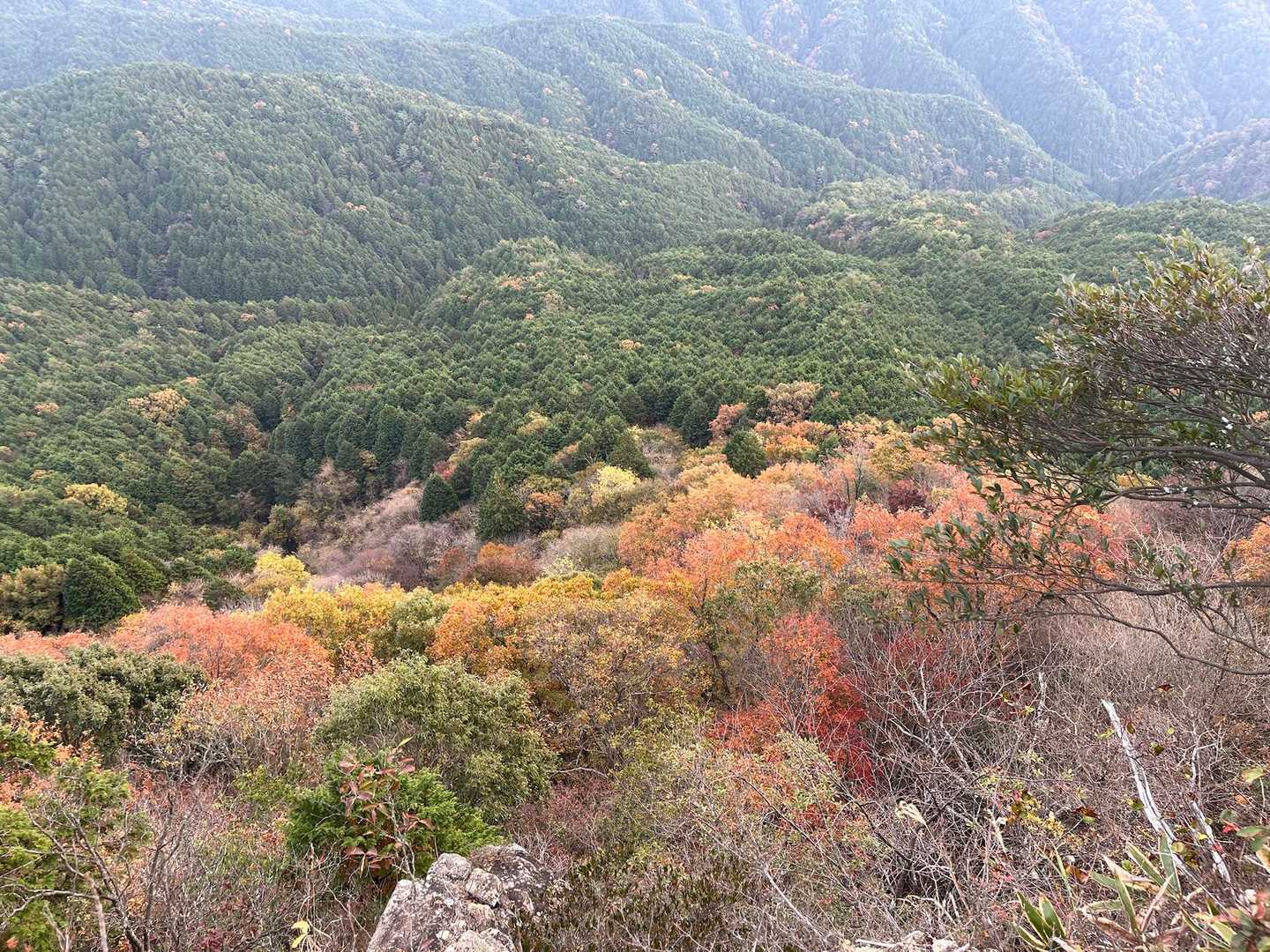寒くなってきたので下山します
見納めの写真