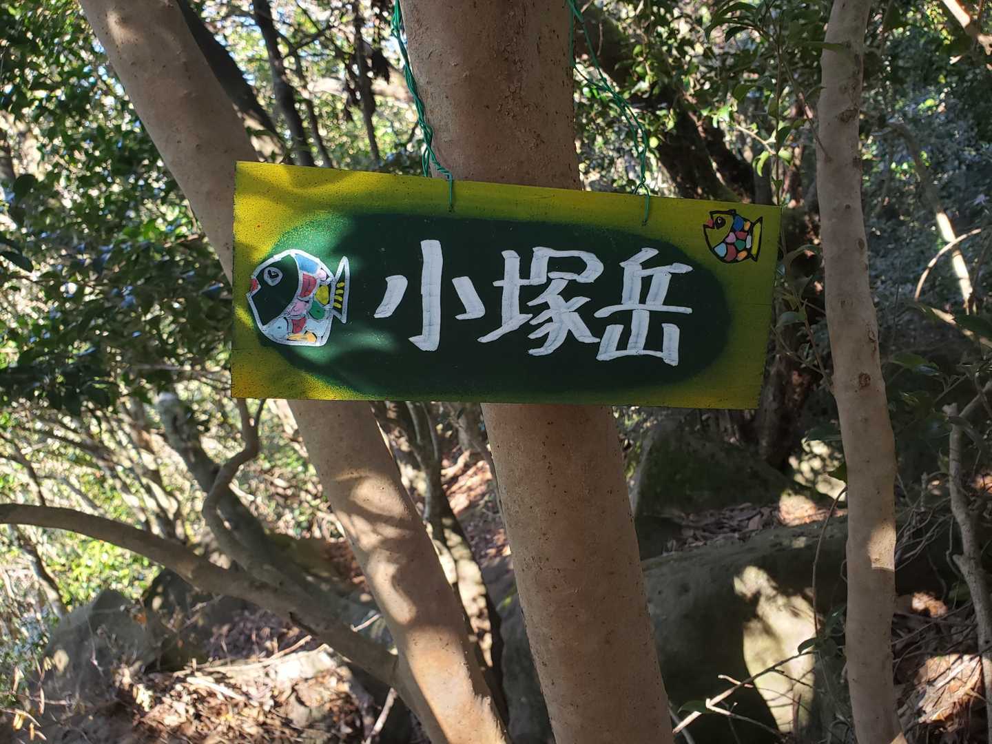 本日2座目「小塚岳」
なんでお魚ちゃん🐟かわからんけど…可愛いからゆるしちゃいまーす