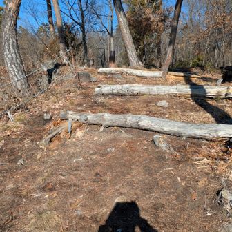 休憩するのに良い場所です