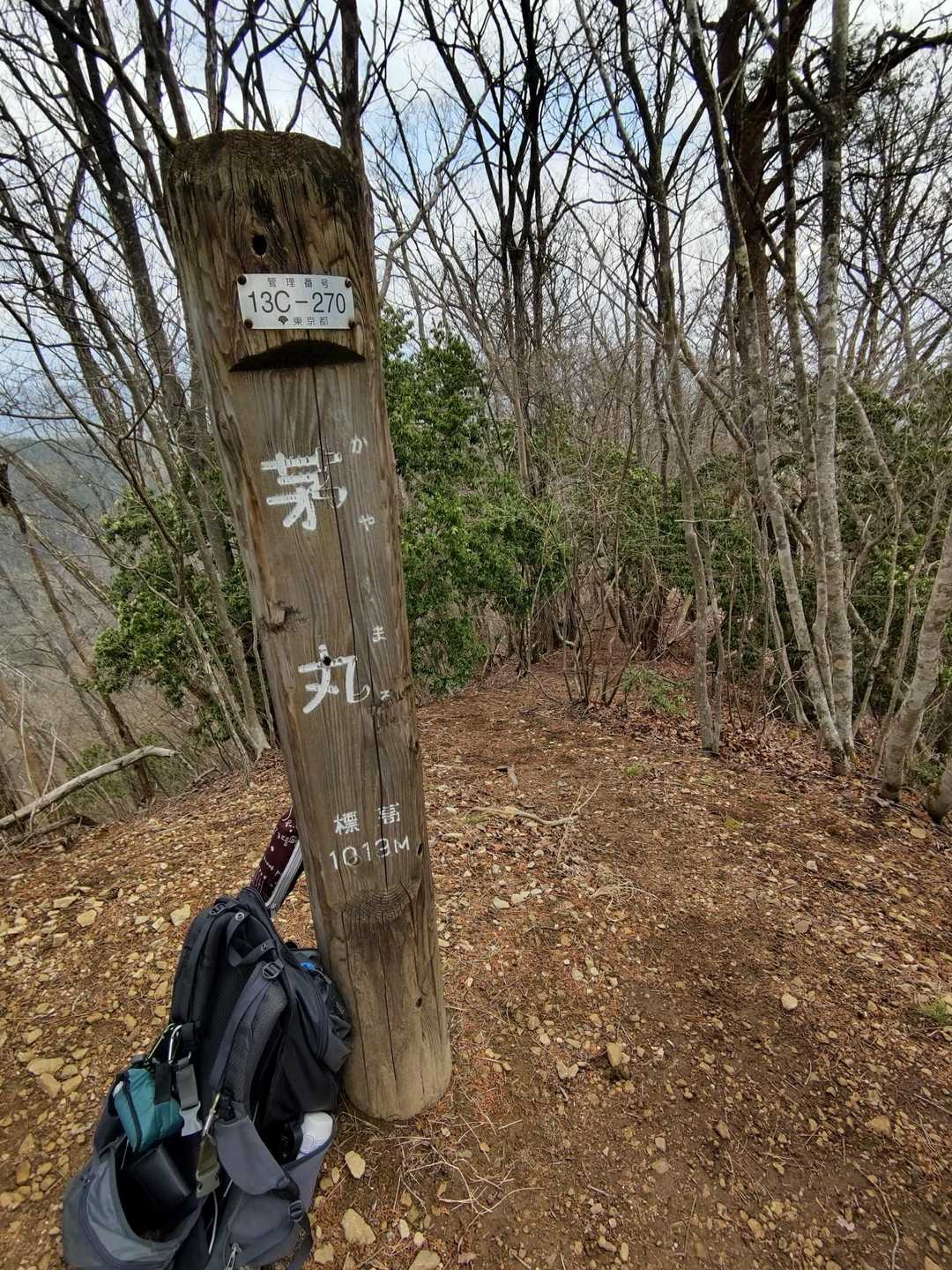 軍刀利神社-佐野川峠-茅丸-連行峰-和田バス停 縦走コースの写真