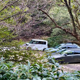 神坂峠の先行者は2組

でも広河原ルートの方が多そう
