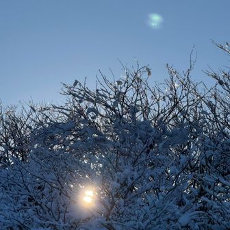 ここまでの写真はキツすぎて撮れなかった😭
木々をかき分け、ツリーホールに気をつけながら、急登は滑落しないように慎重に慎重に足を運んでやっとここ👇