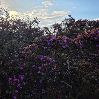 何度も振り返る

またね