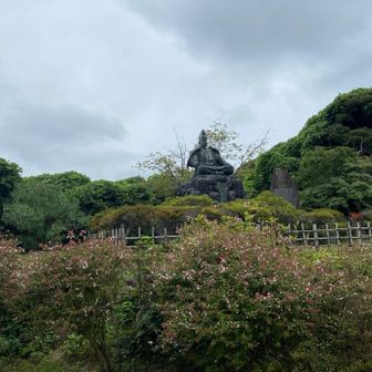 頼朝く〜ん