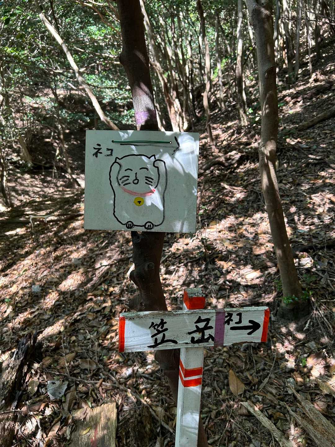 菰野富士登山口-ネコ最高点-ネコ-笠岳-菰野富士 周回コースの写真