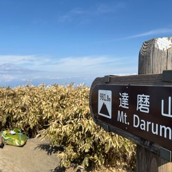 達磨山登頂でーす♪