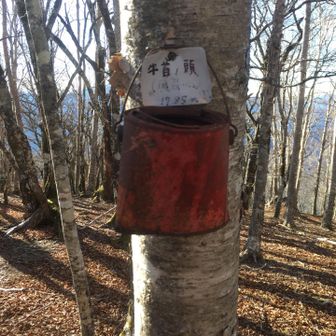 牛首ノ頭

古いエコバッグに
何か入った物が
落ちていたが
怖くて置いてきた