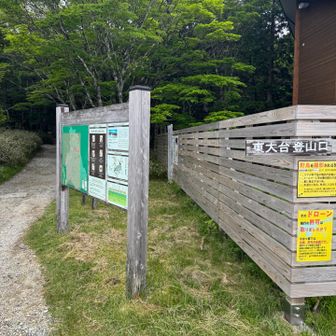 登山口