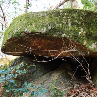 パックン岩にはならないか😅