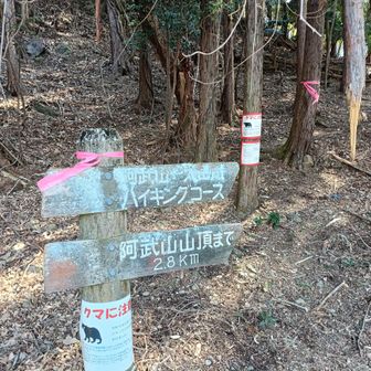 俺たちのハイキングコース。つまり、ほぼ走れないということです。（＾＾；