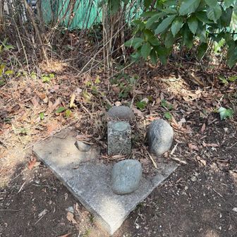 紅葉山の三角点