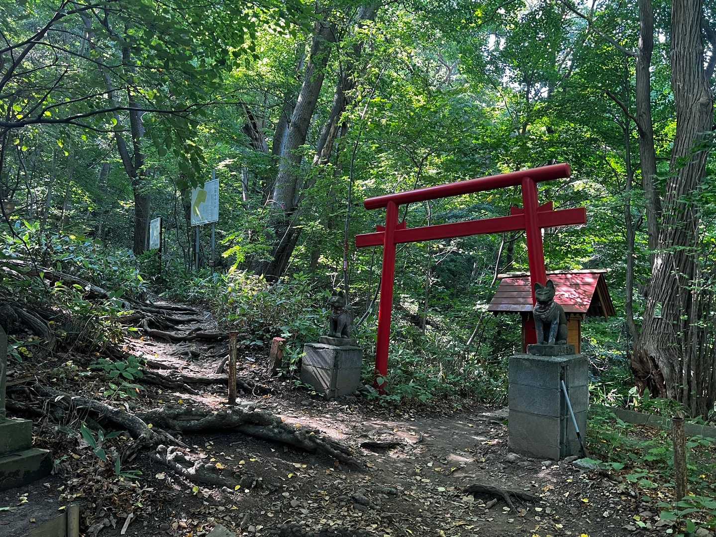 円山周遊｜札幌市街を一望できる市民憩いの山は、友人や家族と一緒に。の写真