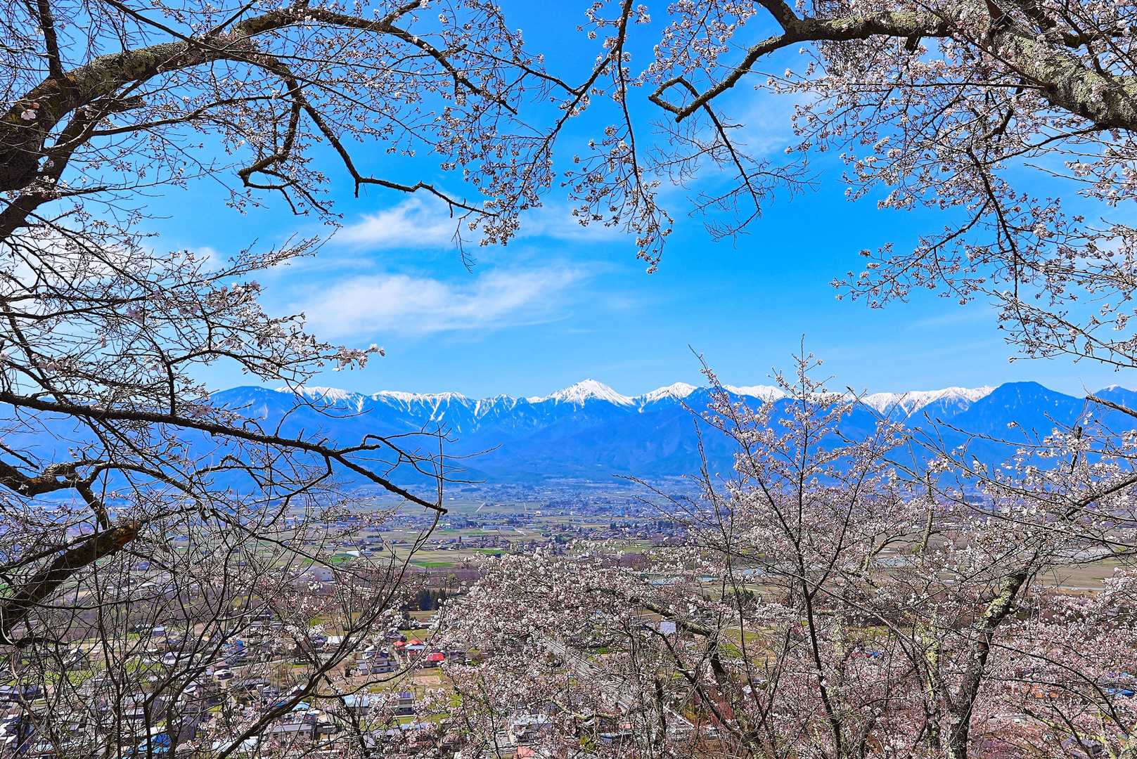光城山-烏帽子峰-長峰山 往復コースの写真