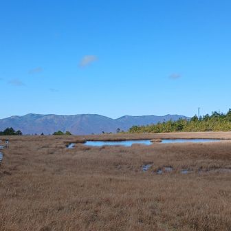 大きい池塘が見えてきた　弘法沼というのか！