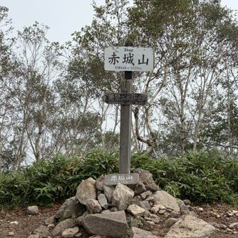 ガスガスで何も見えない山頂