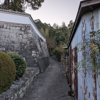草堂寺の脇の小道に入ります
私は見落として、ＹＡＭＡＰがピーピーなりました