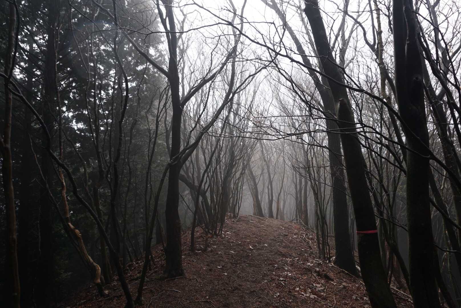 霧の中を歩くー