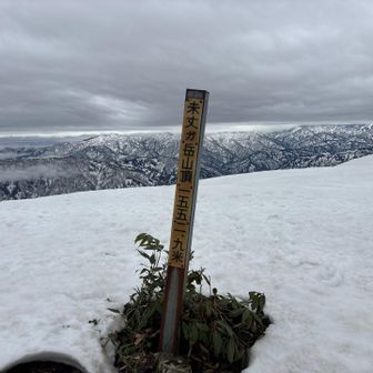 未丈ヶ岳…山頂です⤴️