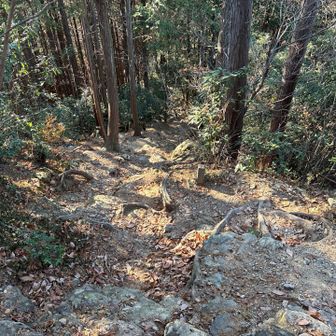 官ノ倉山からの下り。ちょっと岩々してい注意が必要なところがあります。