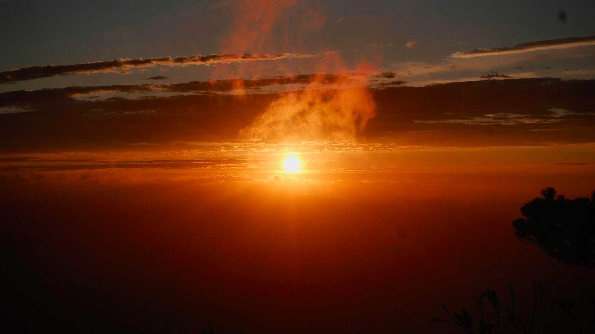 薬師岳で日の出を楽しむ❤︎
日の出を見てから
朝日に照らされる草紅葉を見るまでがセット☺️

草紅葉の読み方って
くさこうよう
くさもみち
どっち？