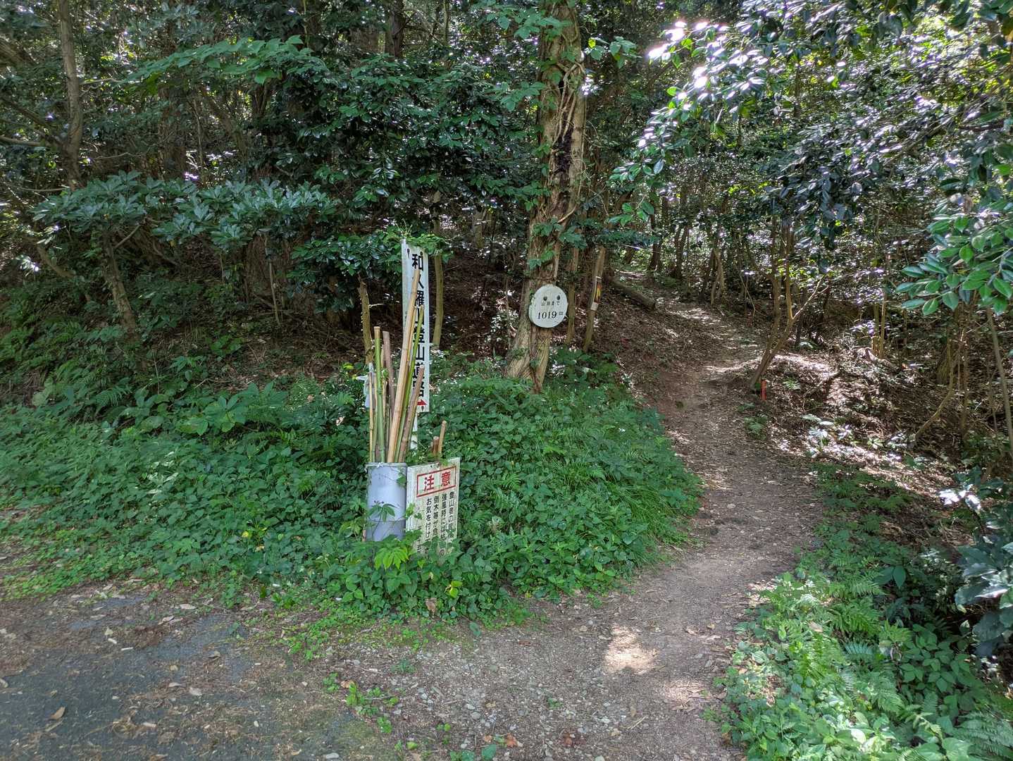 和久羅山ルートの登山口。それでは本日の登山、スタートでございます。