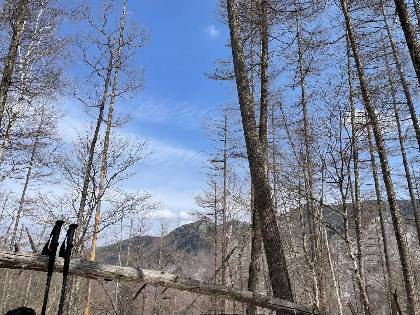 右手には大双里山、松ネッコなど。