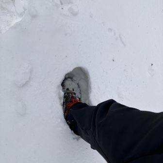 足が埋まる❄️