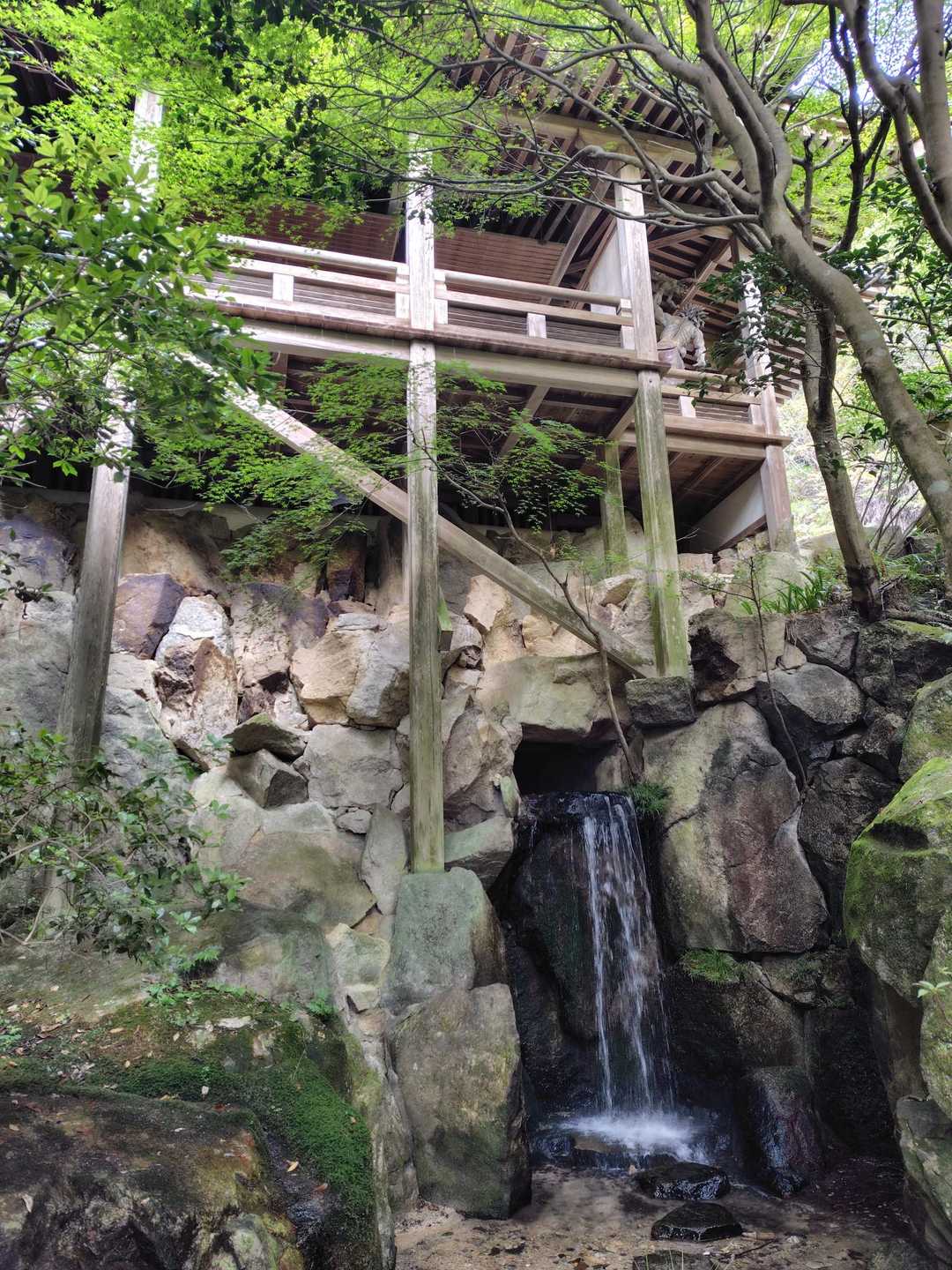 趣があるよね。✨