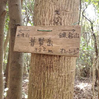 お手製の標識
良いですね🌝