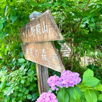 登山口の階段を登って⤴️💦