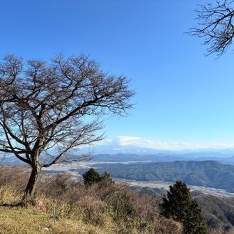 山頂でも、大山☁️