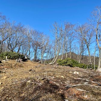 高屋山にとうちゃこ
