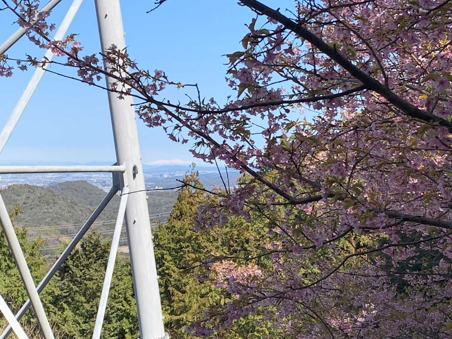 Gu：おおぉぉ！
こっ：わ〜😆桜だ〜桜🌸
おねえさん：あそこに白山も見えますよ
Gu：おおおお〜凄いね〜
こっ：後でここでもドローン飛ばしてみる？
Gu：いいねー👌