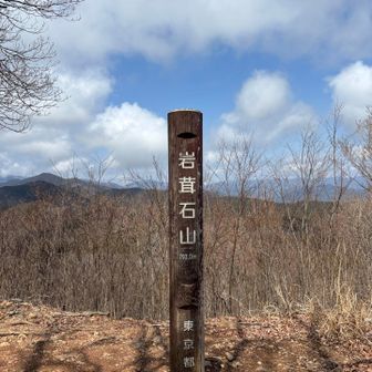 岩葺石山▲793㍍登頂╰(*´︶`*)╯
ベンチでランチタイム🍙