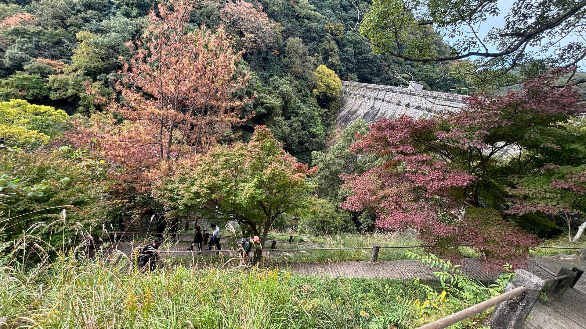 新神戸駅-滝山城跡登山口-東門-料金所-正門 縦走コースの写真