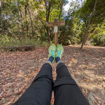 鳩ヶ峰⛩️🎍
落葉尽くし。